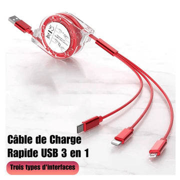 Câble de Charge Rapide USB 3 en 1