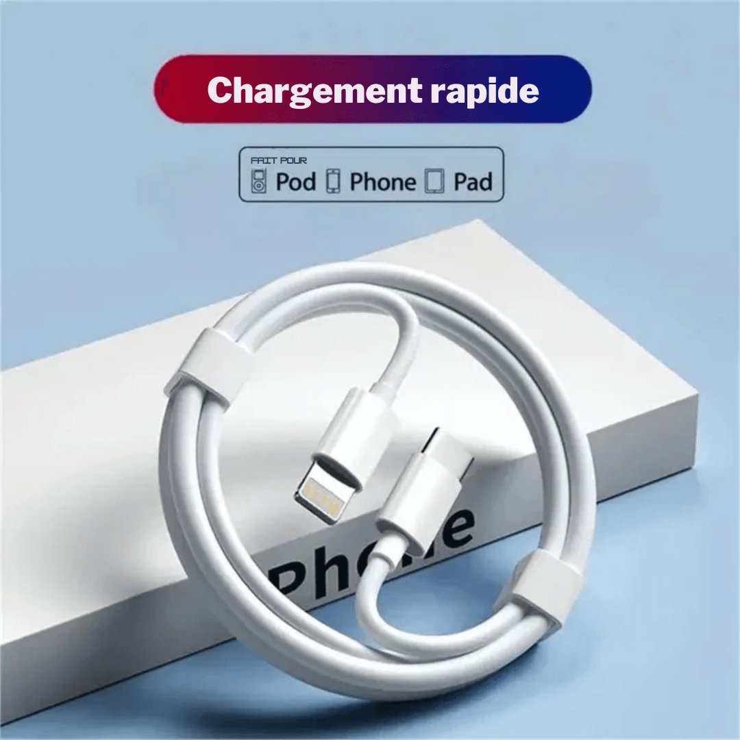 Câble de Charge Rapide 20W PD pour iPhone et iPad